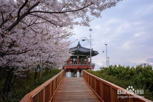 韩国釜山7个景点，你想去哪个？